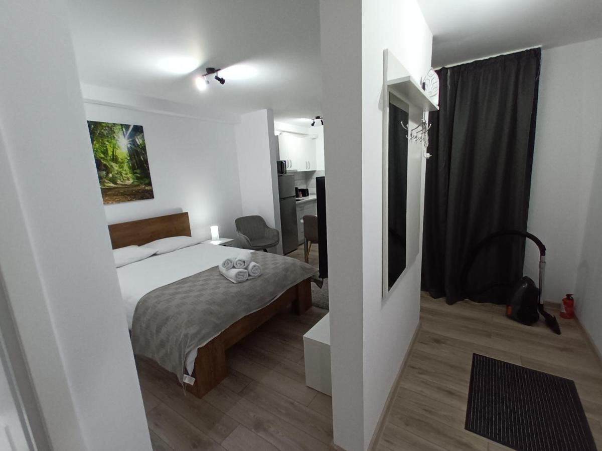 Old Town Studio Apartments Baia Mare Eksteriør bilde